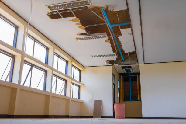 Best Water damage cleanup near me  in East Harwich, MA