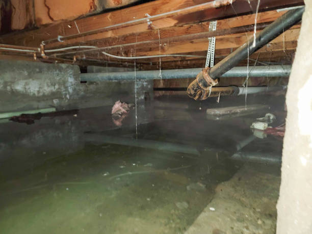Best Flooded house restoration  in East Harwich, MA