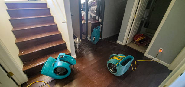 Best Flooded house restoration  in East Harwich, MA