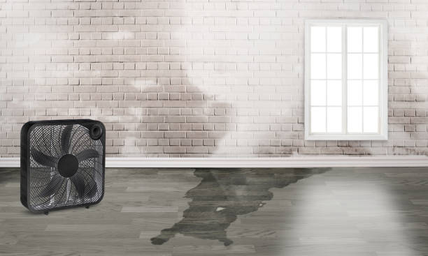 Best Sewage cleanup and water damage restoration  in East Harwich, MA