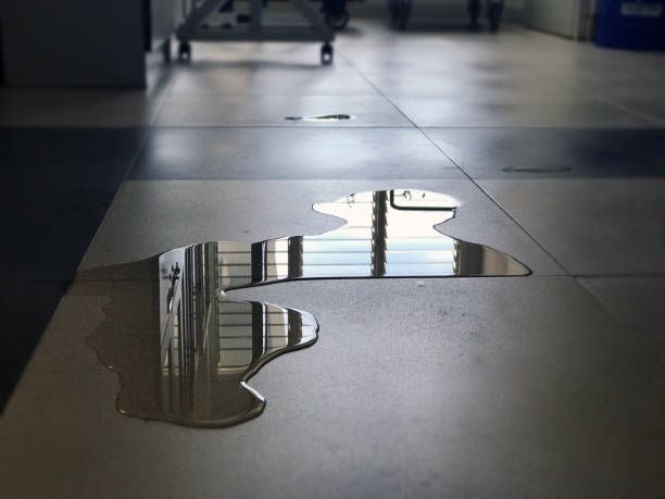Best Professional water damage repair  in East Harwich, MA