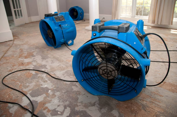 Best Water damage mitigation services  in East Harwich, MA