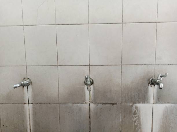 Best Water damage restoration services  in East Harwich, MA