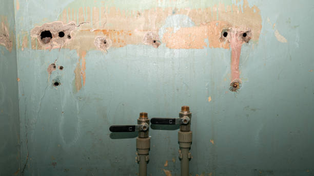 Best Sewage cleanup and water damage restoration  in East Harwich, MA