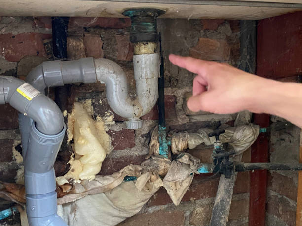 Best Basement water damage restoration  in East Harwich, MA