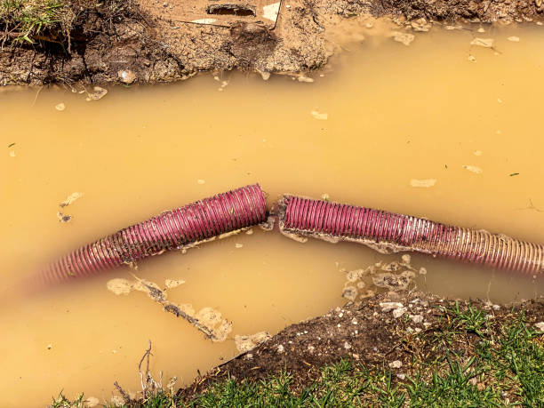 Best Water damage restoration near me  in East Harwich, MA