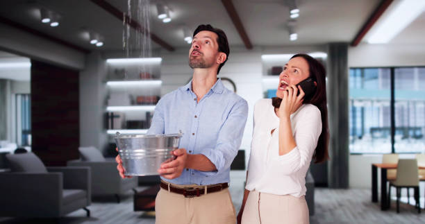 Best Flood restoration services  in East Harwich, MA