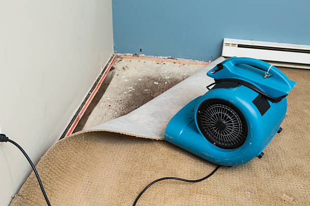 Best Water damage restoration near me  in East Harwich, MA